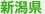 新潟県