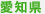 愛知県