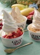Golden Spoon アリオ北砂店