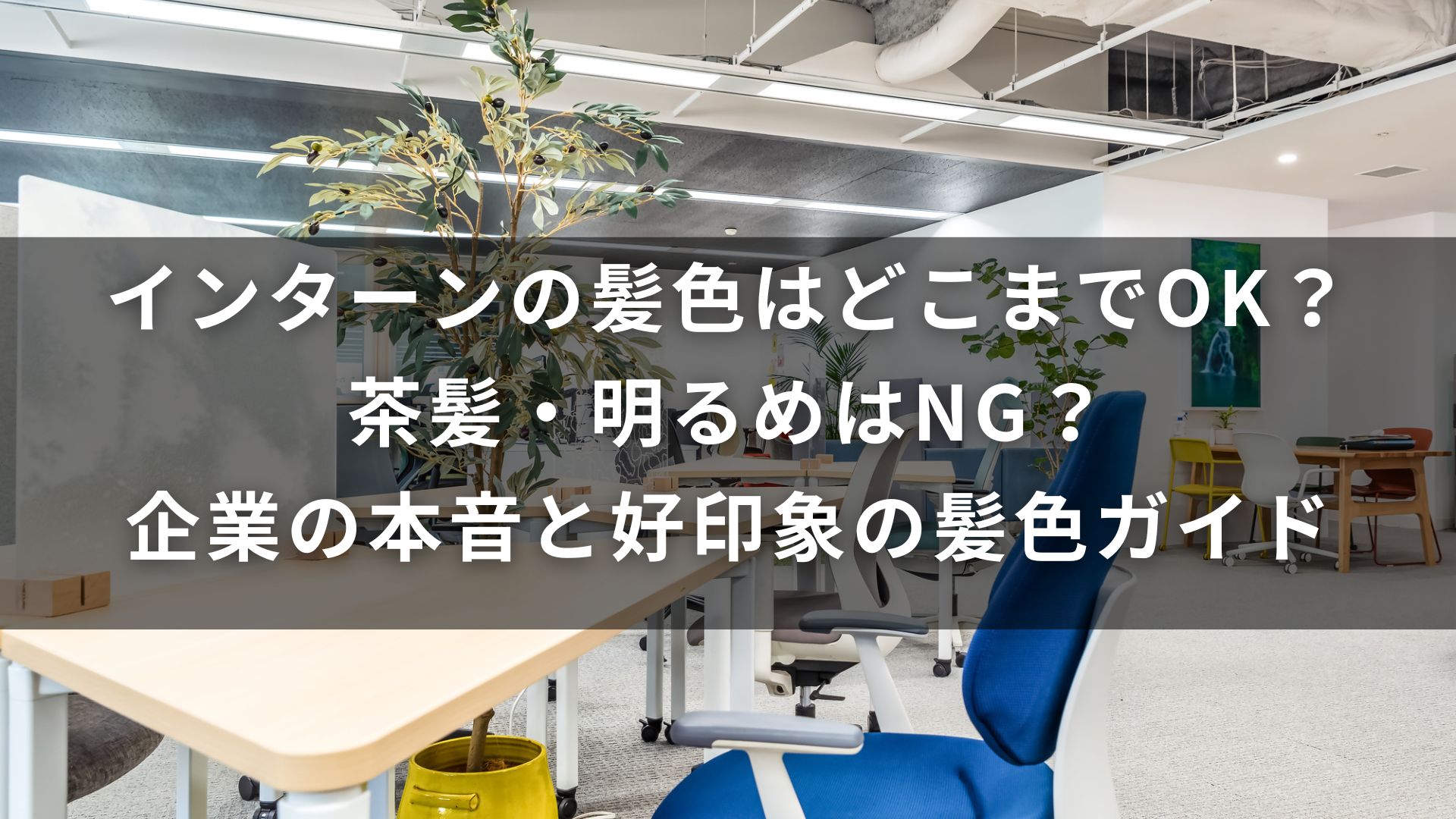 インターンシップ　髪色