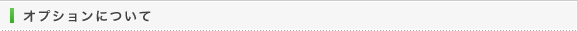 オプションについて